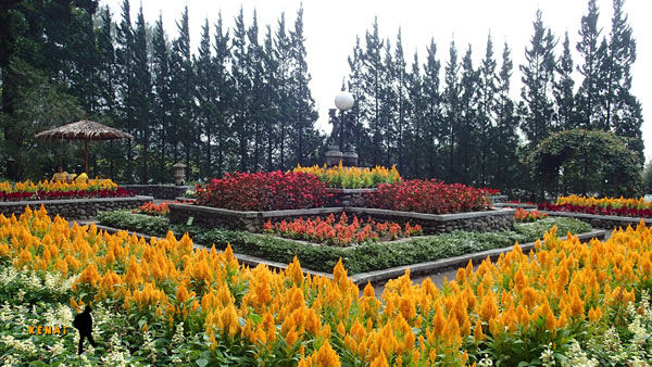 Melrimba Garden Puncak Bogor