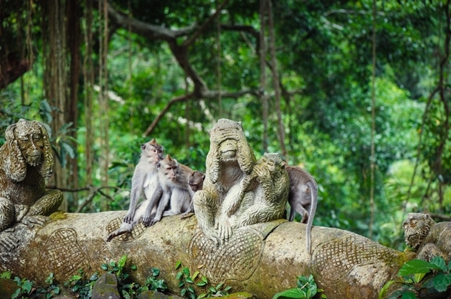 tempat wisata di Bali - Monkey Forest Ubud